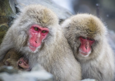 _DSC0052_63064